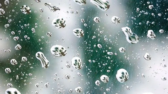 Rain drops on a window with palms behind, Naples, Florida